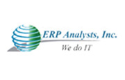 ERP Analysts