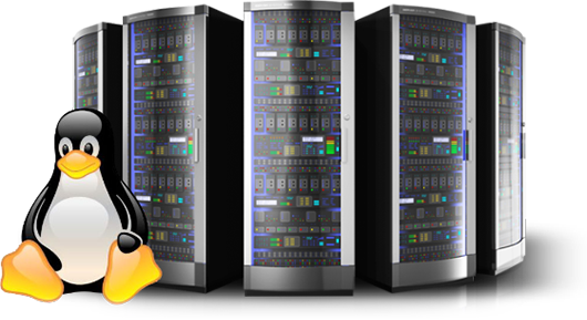 Reseller hosting company in hyderabad