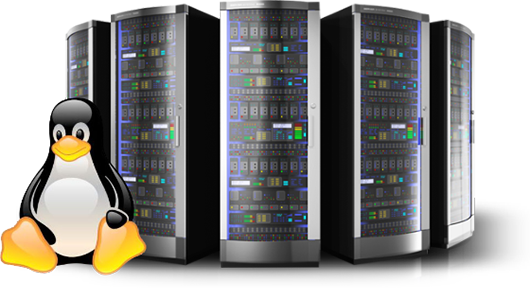 web hosting company in Hyderabad